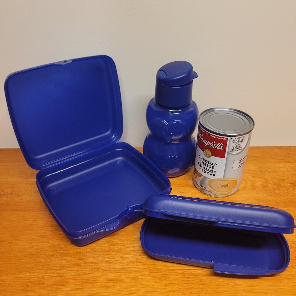 Tupperware Lunch Set - Blue